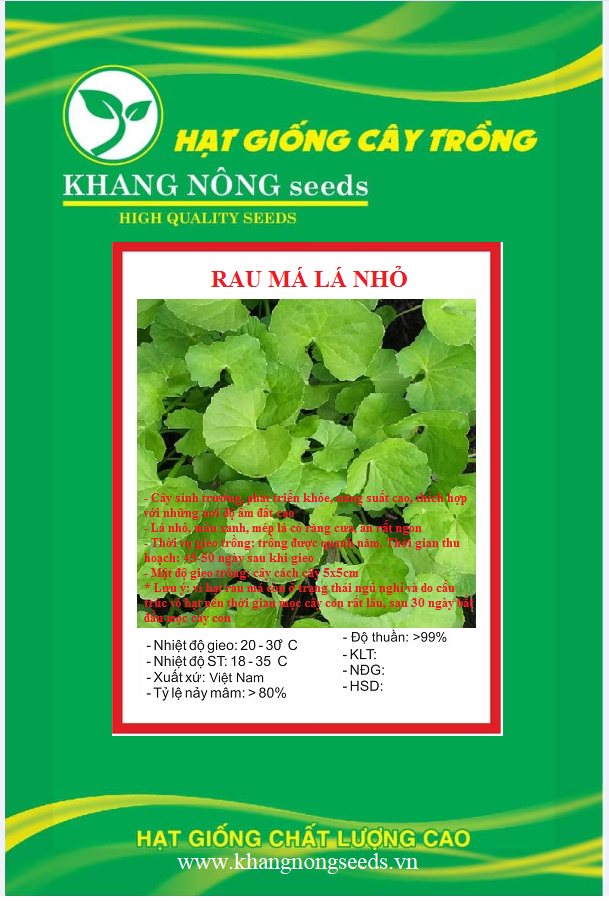 Hạt Giống Rau Má Lá Nhỏ