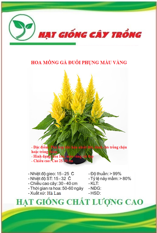 Hạt Giống Hoa Mồng Gà Đuôi Phụng Màu Vàng - Gói 50 hạt