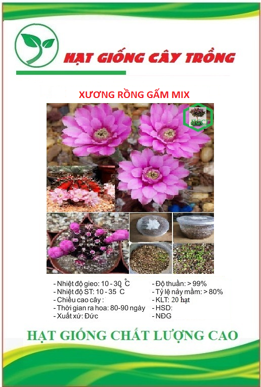 Hạt giống hoa xương rồng gấm mix màu