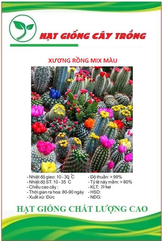 Hạt giống hoa xương rồng nhiều màu