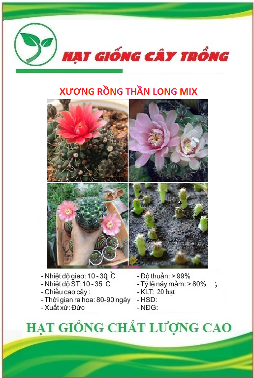 Hạt Giống Hoa Xương Rồng Thân Long Mix Màu