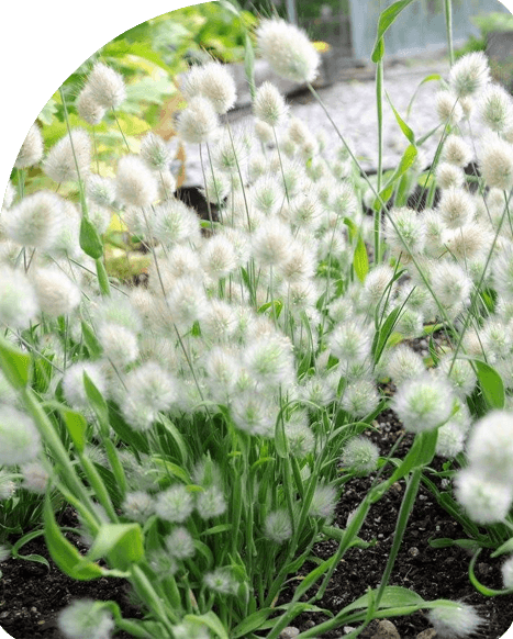 Banner giới thiệu