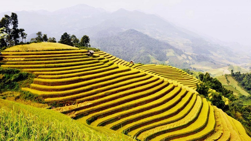 Khám Phá Hà Giang Tháng 6: Chuẩn Bị Như Thế Nào? Khám Phá Hà Giang Tháng 6: Chuẩn Bị Như Thế Nào?