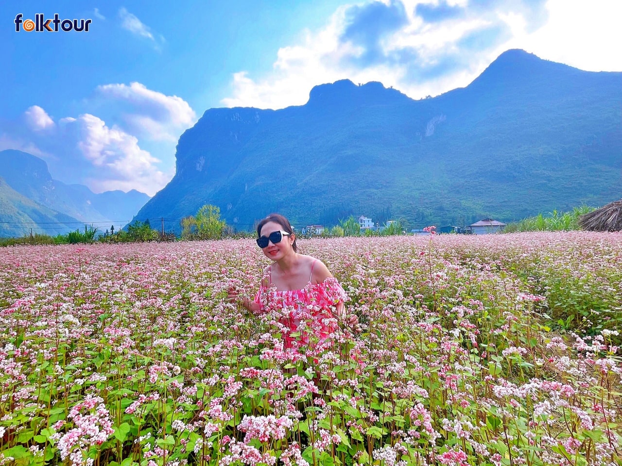 Những Địa Điểm Chụp Hoa Tam Giác Mạch Hà Giang Những Địa Điểm Chụp Hoa Tam Giác Mạch Hà Giang