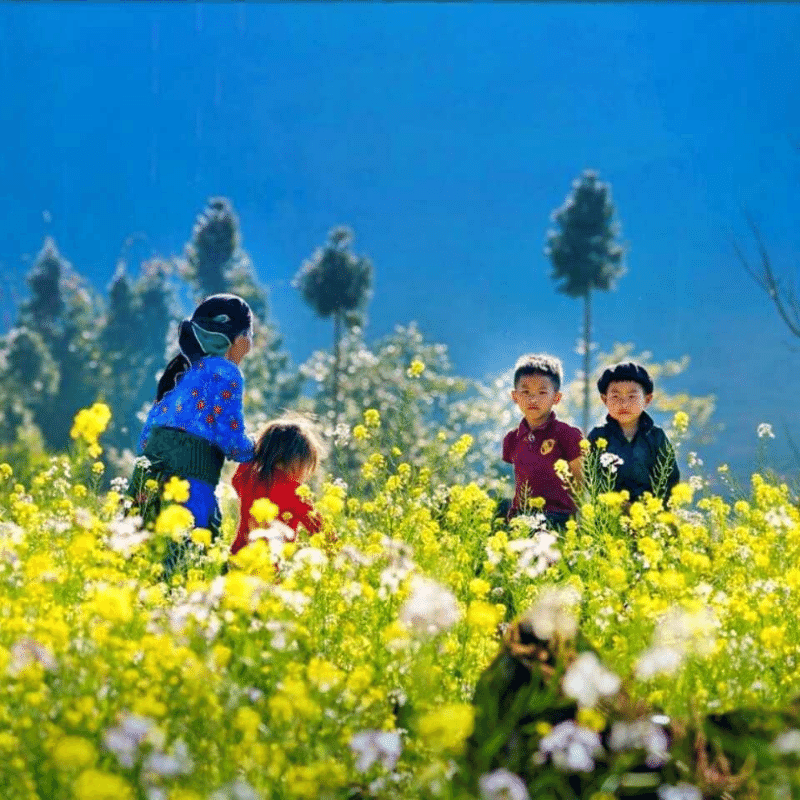 Vì sao nên chọn Hà Giang cho chuyến du lịch sắp tới?