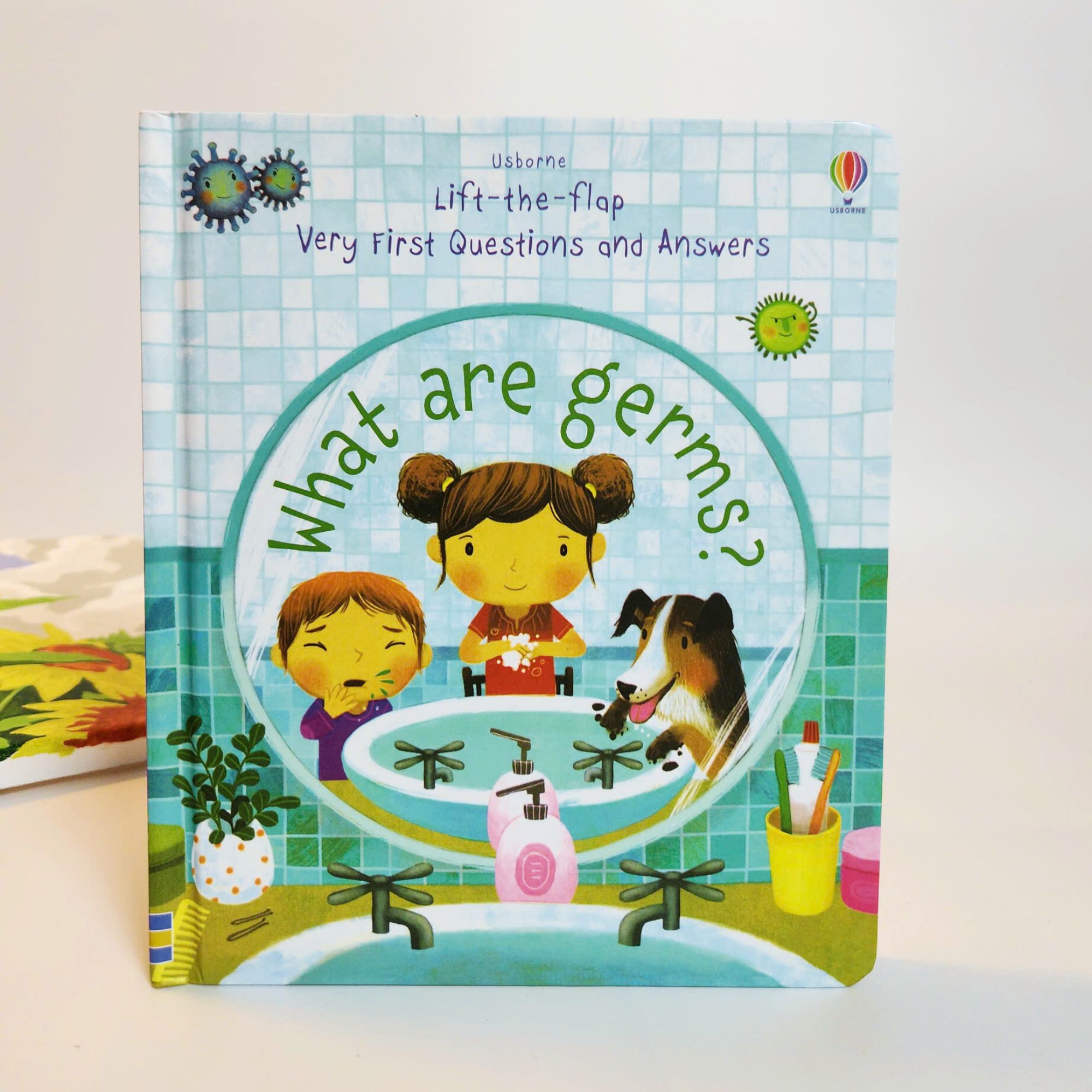 Usborne Lift-the-flap Very First Questions and Answers, sách lật mở khám phá cho bé