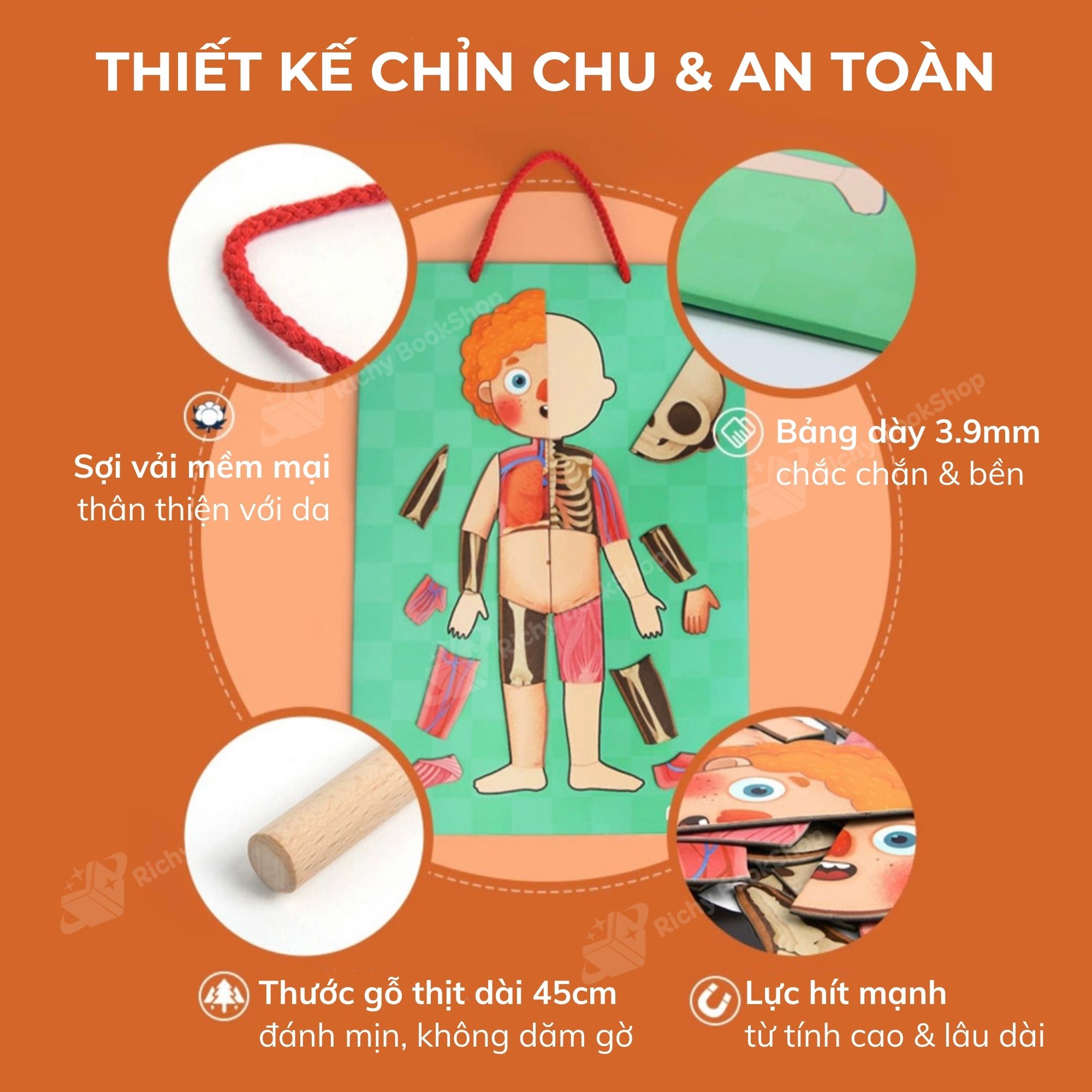 Mideer Human Body Magnetic Puzzle – Bộ Xếp Hình Nam Châm Cơ Thể Người