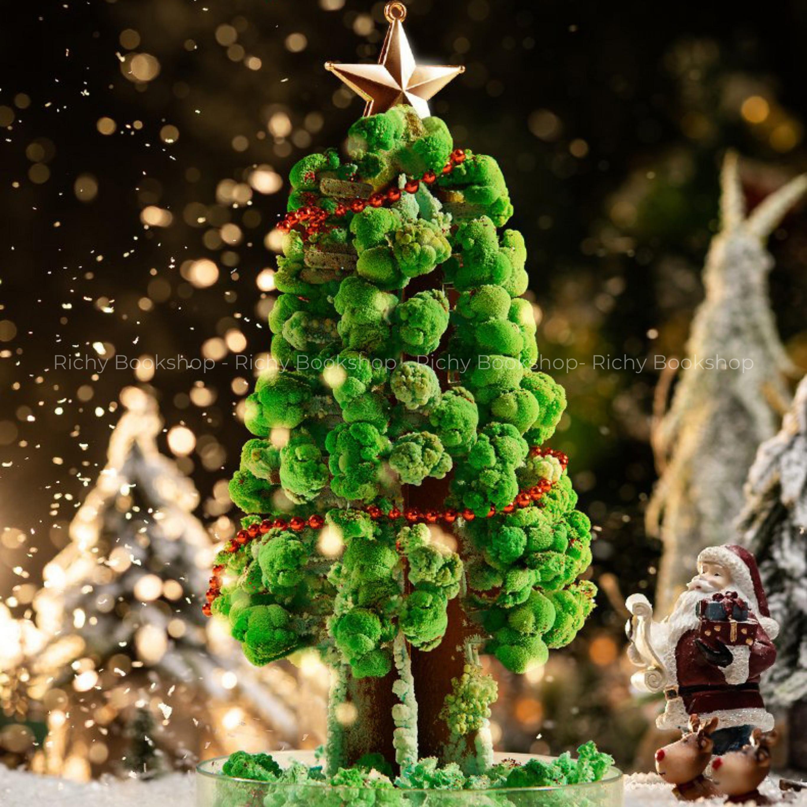 Cây Thông Noel Thần Kì DIY - Mideer Magic Christmas Tree