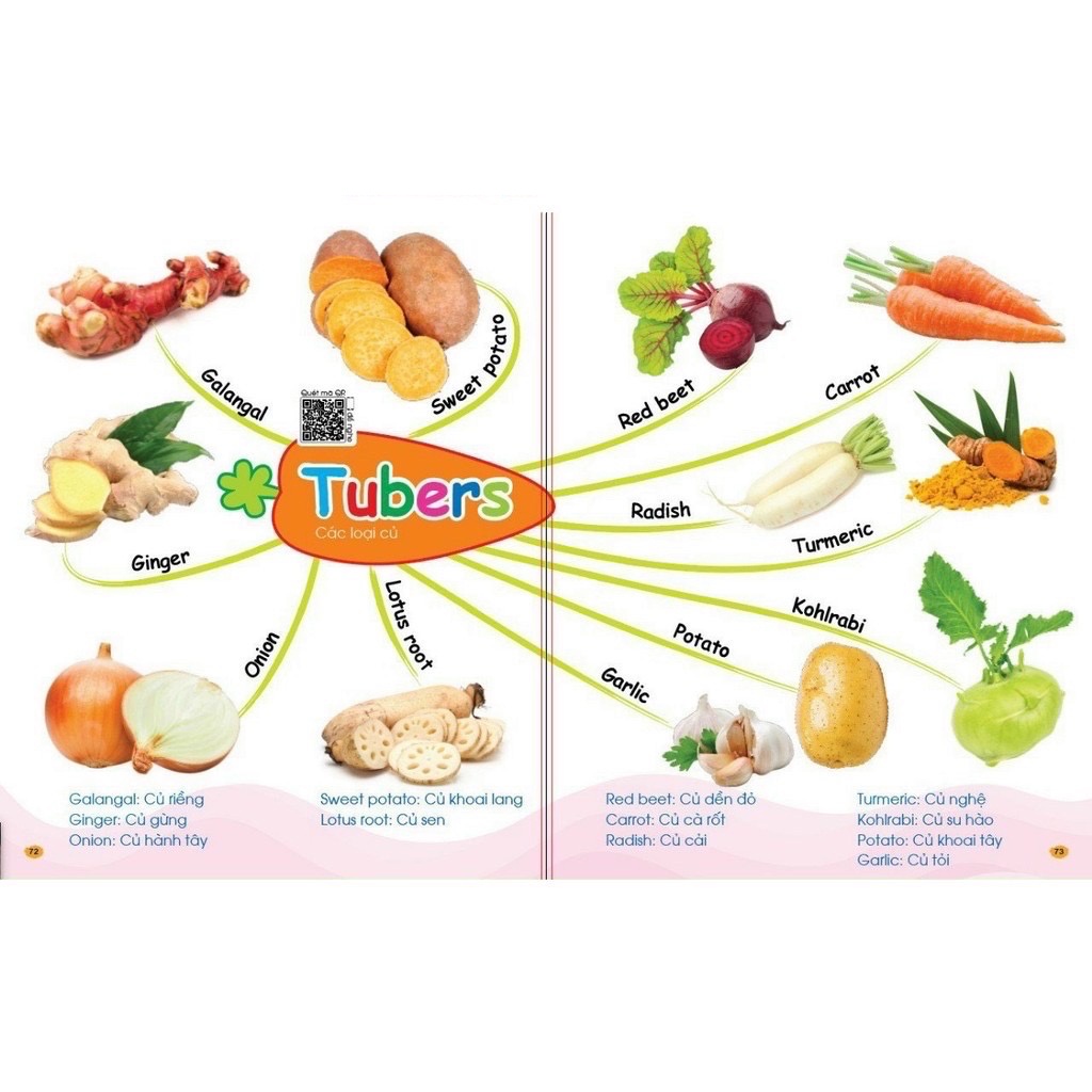 Chinh Phục Từ Vựng Tiếng Anh - Theo Sơ Đồ Tư Duy Mind Map