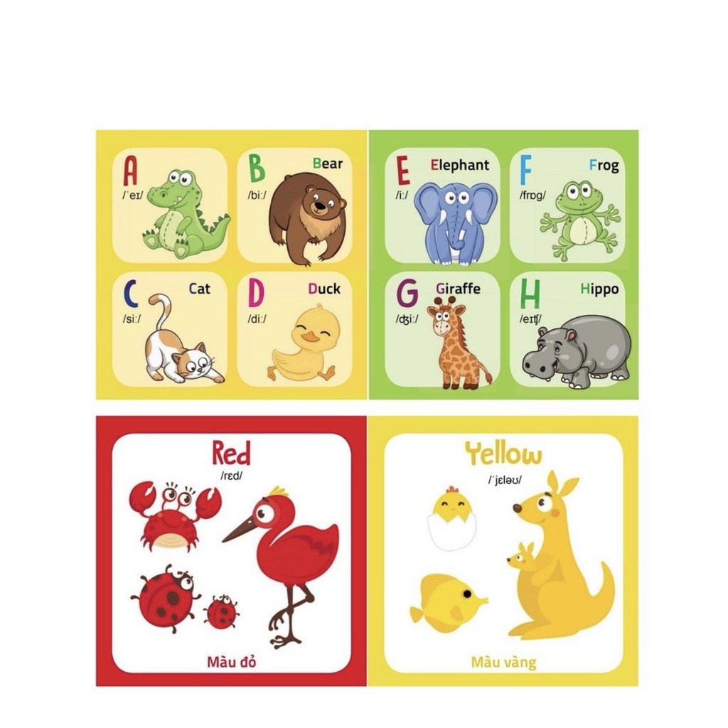 Sách Song Ngữ Anh - Việt - My First Picture Book - Thư viện hình ảnh đầu tiên cho bé (Kèm file nghe tiếng Anh)