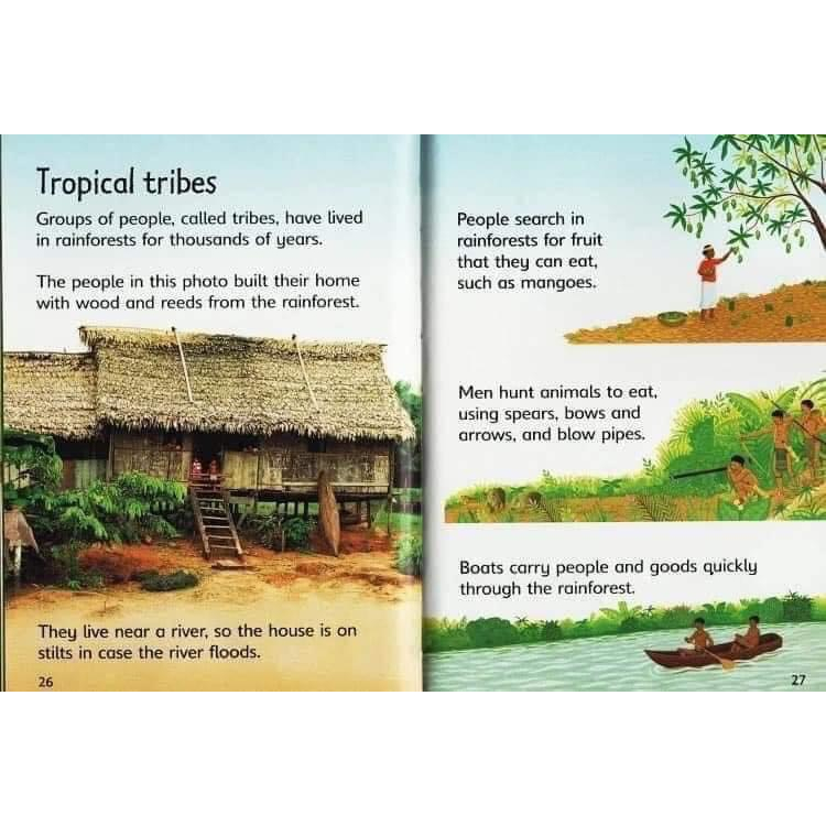 Bộ sách Usborne Beginner Nature bìa cứng 10 cuốn