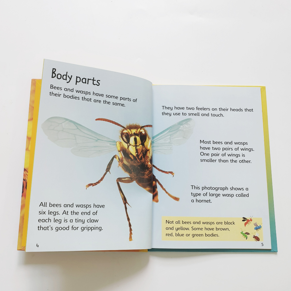 Bộ sách Usborne Beginner Nature bìa cứng 10 cuốn