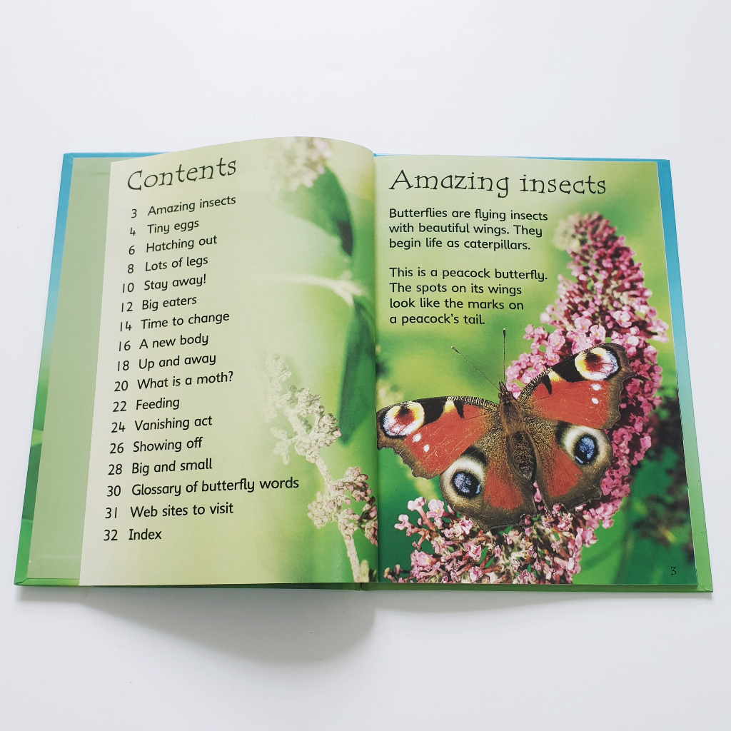 Bộ sách Usborne Beginner Nature bìa cứng 10 cuốn