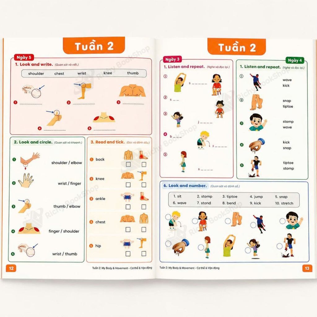 Sách - English 5 Words a Day – 52 Weeks Step-by-Step (Ages 6-13): 5 từ mỗi ngày – Lộ trình 52 tuần làm chủ TA nền tảng
