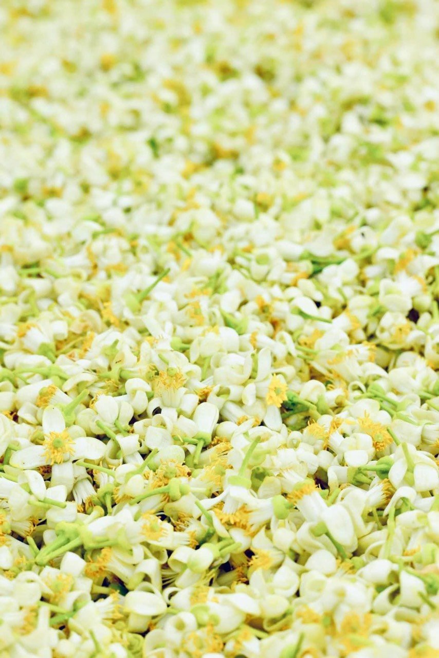 Tinh Dầu Hoa Bưởi Karose