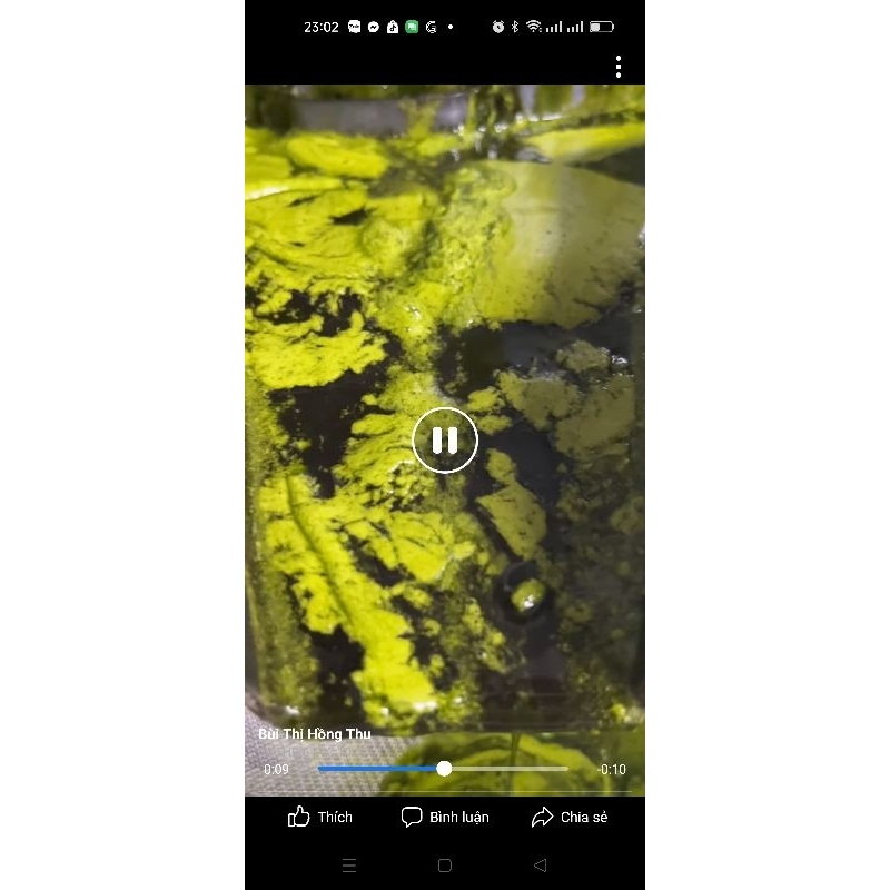 DẦU BƠ ÉP LẠNH NOOM 100ML tặng chai triết nhỏ