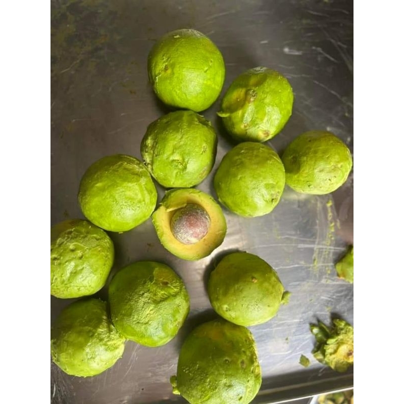 DẦU BƠ ÉP LẠNH NOOM 100ML tặng chai triết nhỏ