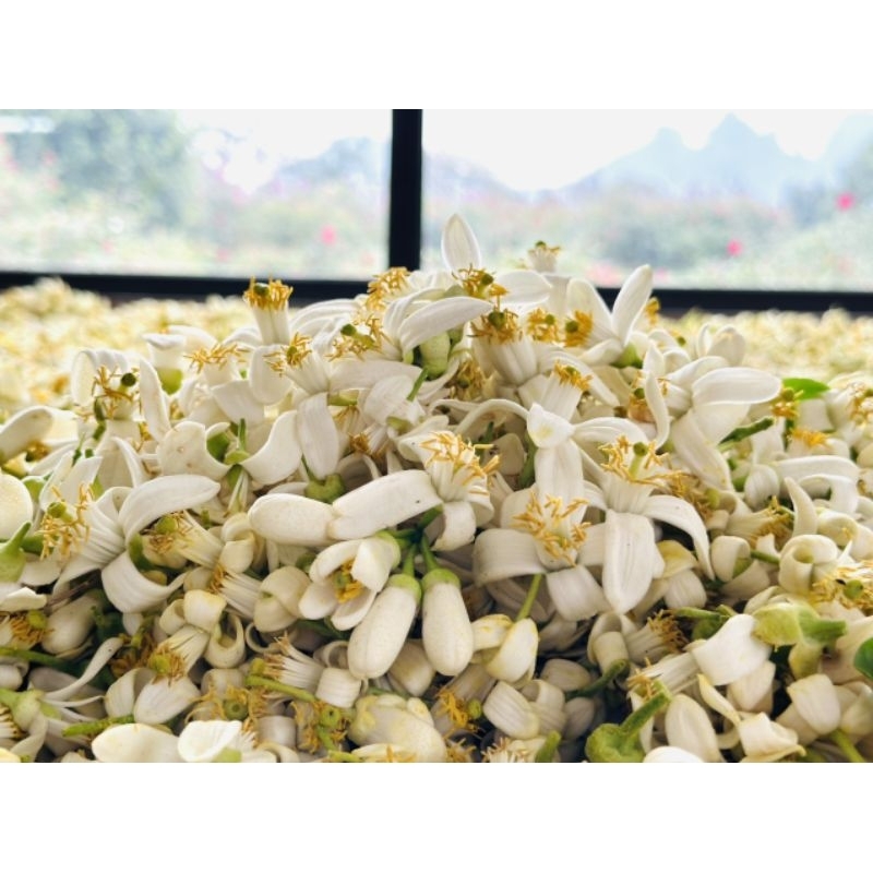 Nước cất hoa bưởi chứng nhận Hữu cơ Karose