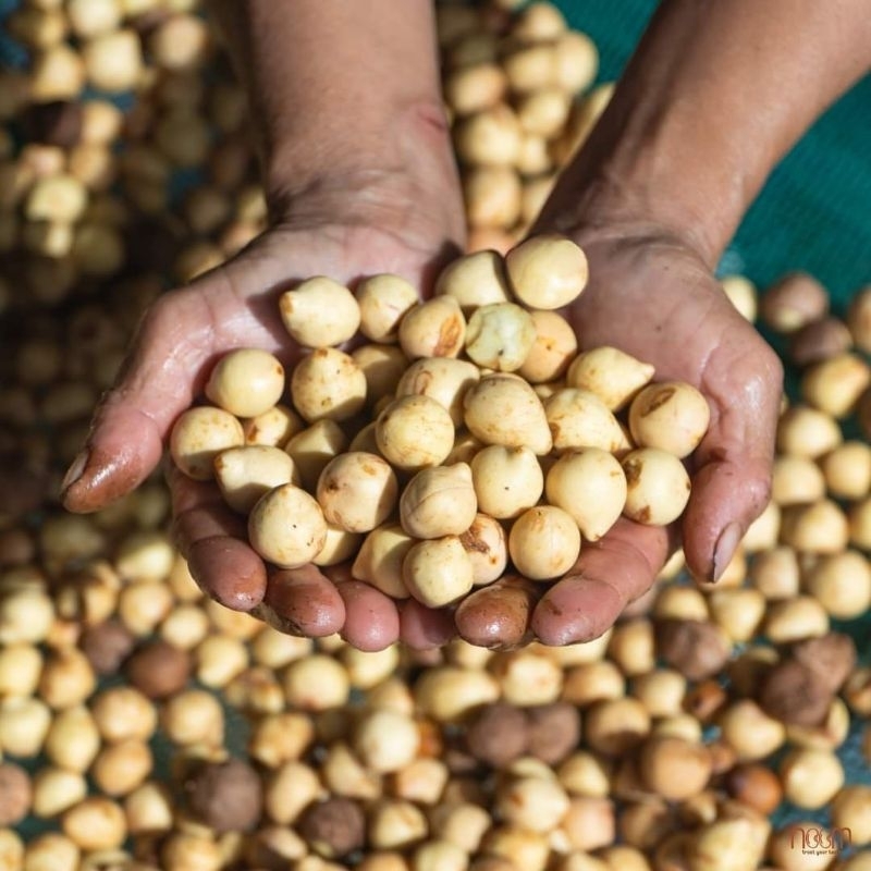 Dầu mù u Noom 350ml