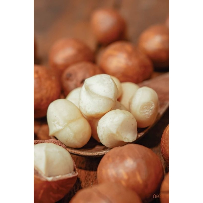 Nhân Hạt Macca tươi Noom 300g