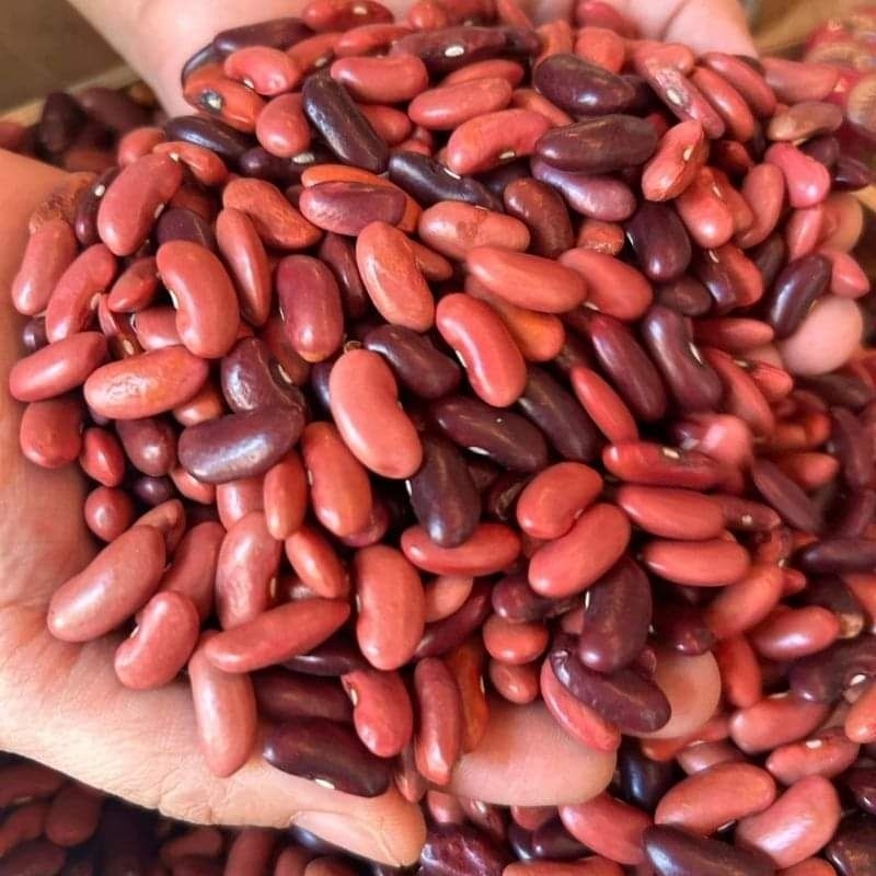 Đậu Tây đỏ Noom 1.4 kg