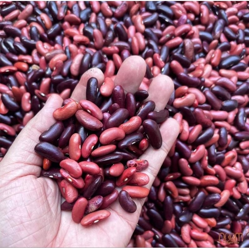 Đậu Tây đỏ Noom 1.4 kg