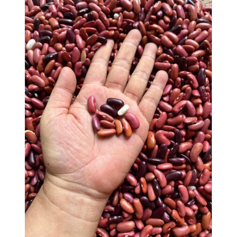 Đậu Tây đỏ Noom 1.4 kg