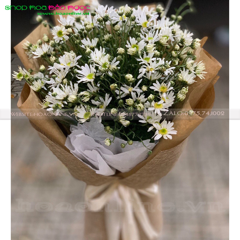 Bó hoa cúc Họa Mi BN-B0255
