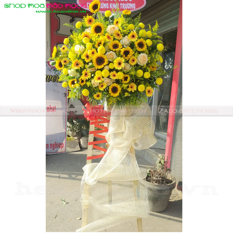 hoa-khai-truong-bn-cm006