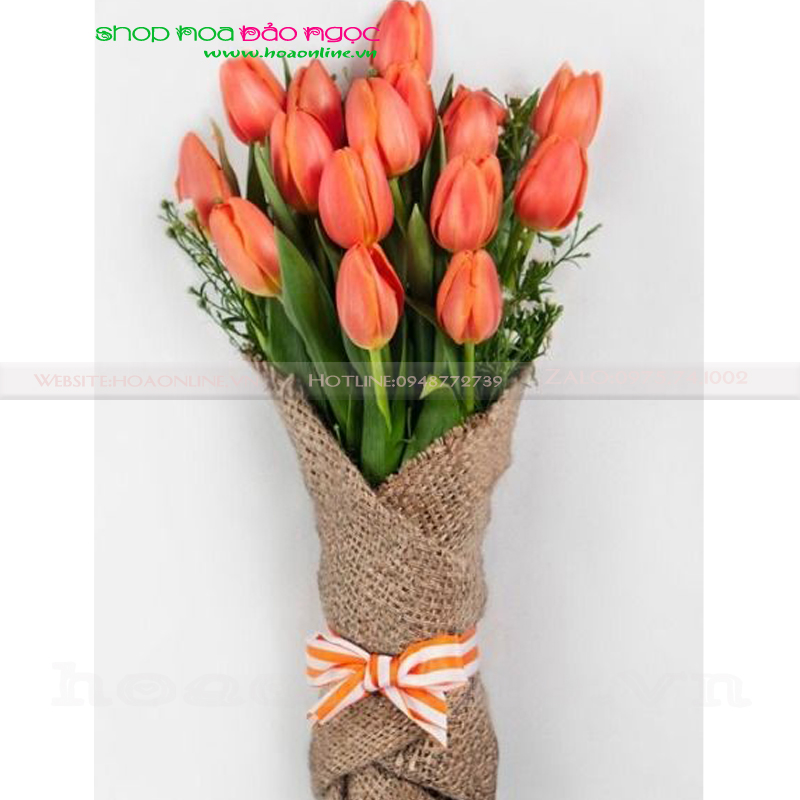 Bó hoa Tulip BN-B0226