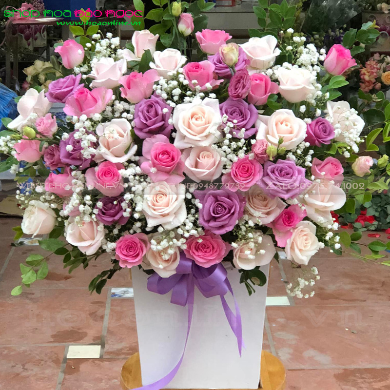 hoa-vang-phong-bn-g016