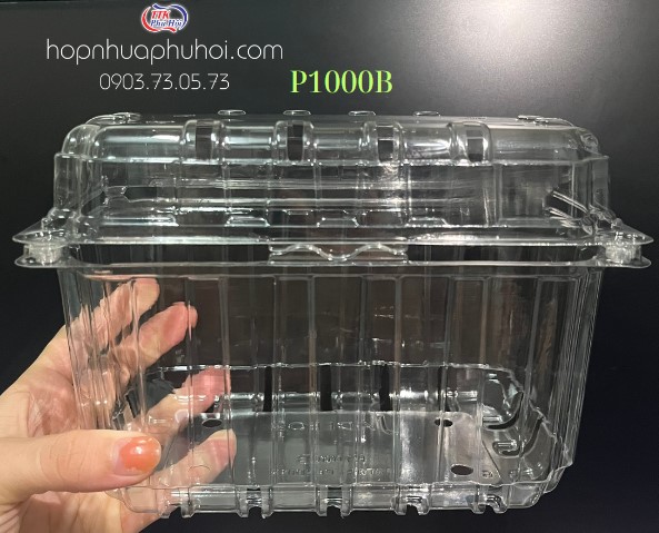 3 mẫu hộp nhựa đựng 1kg trái cây sang trọng, giá rẻ nhất thị trường