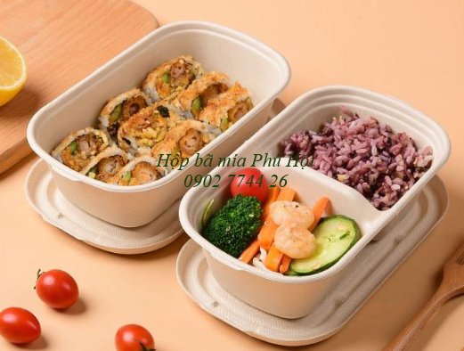 Các mẫu hộp bã mía đẹp