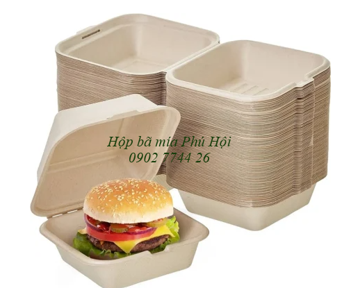 Địa chỉ mua hộp bã mía