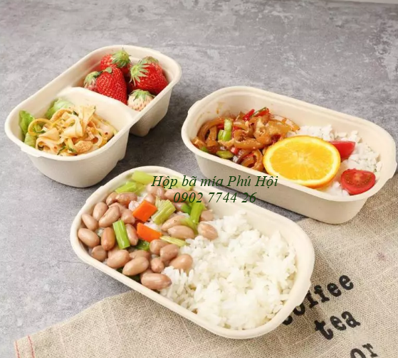 Hộp bã mía 2 ngăn đựng cơm