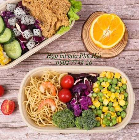 Hộp bã mía đựng bún
