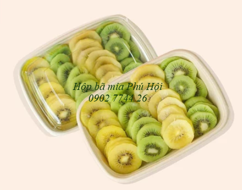 Hộp bã mía tại TP Bà Rịa, TP Vũng Tàu, TP Tây Ninh, TP Đồng Xoài (Bình Phước)