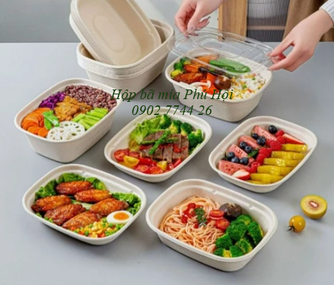 Hộp bã mía tại TP Biên Hòa, TP Long Khánh (Đồng Nai), TP Thủ Dầu Một, TP Dĩ An, TP Thuận An, TP Tân Uyên, TP Bến Cát (Bình Dương)