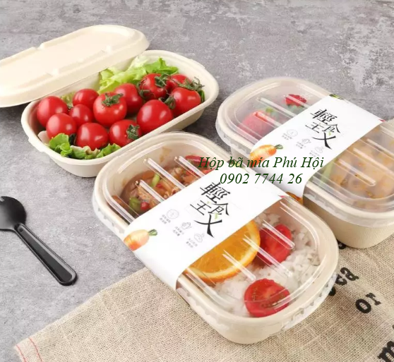 Hộp bã mía tại TP Điện Biên Phủ (Điện Biên), TP Lai Châu, TP Cao Bằng, TP Bắc Giang, TP Bắc Kạn