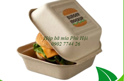 Hộp bã mía tại TP Hạ Long, TP Cẩm Phả, TP Uông Bí, TP Móng Cái (Quảng Ninh)