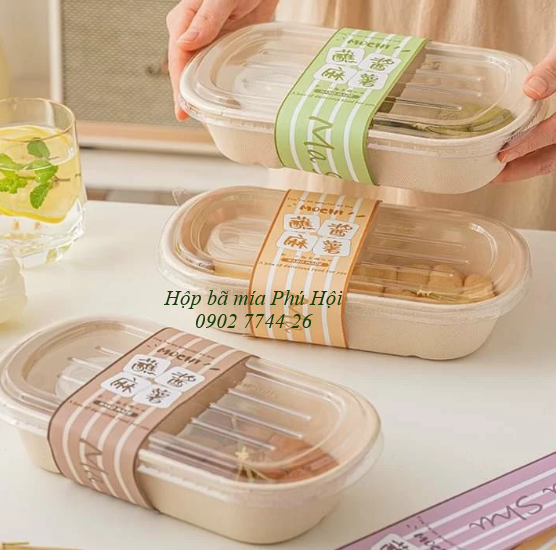 Hộp bã mía tại TP Phan Thiết (Bình Thuận), Đà Lạt, TP Gia Nghĩa (Đắk Nông)