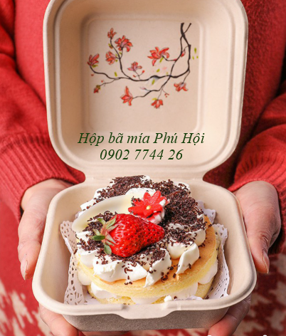 Hộp bã mía tại quận Thủ Đức, quận Bình Tân, quận Bình Thạnh TP HCM