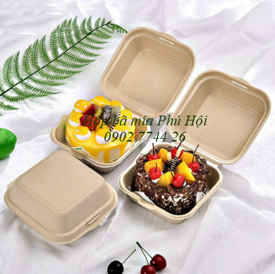 Hộp bã mía tại quận 1, quận 2, quận 3, quận 4, quận 5, quận 6 TP HCM