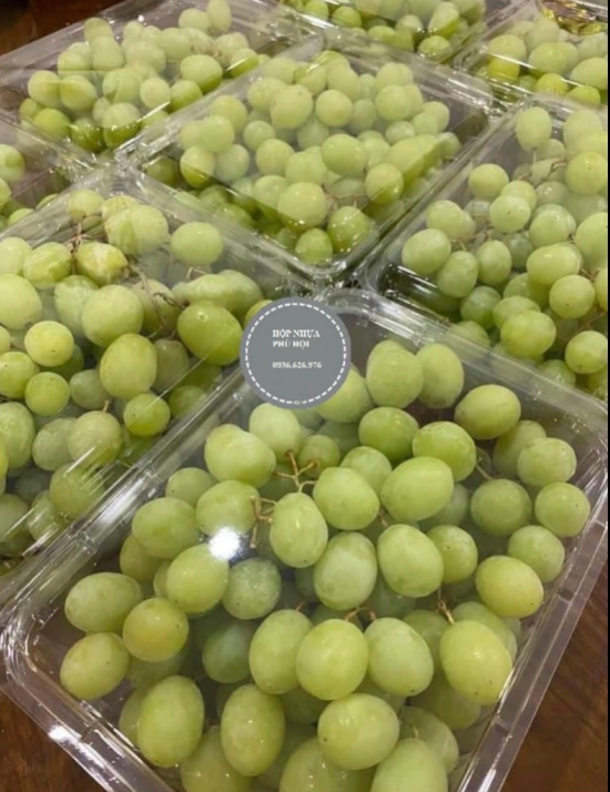 Top Mẫu Hộp Nhựa Đựng Trái Cây 2kg Đẹp, Chất Lượng Nhất 2025