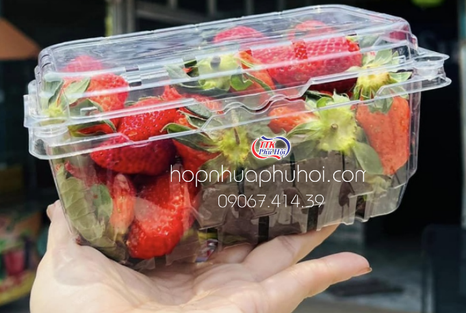 HỘP NHỰA TRÁI CÂY GIÁ RẺ