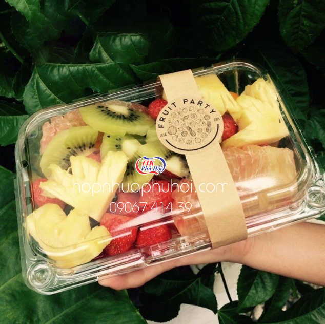 HỘP NHỰA ĐỰNG TRÁI CÂY CÁC LOẠI - TPHCM
