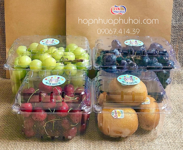 Mẫu hộp nhựa trái cây được ưa chuộng tại Phú Hội