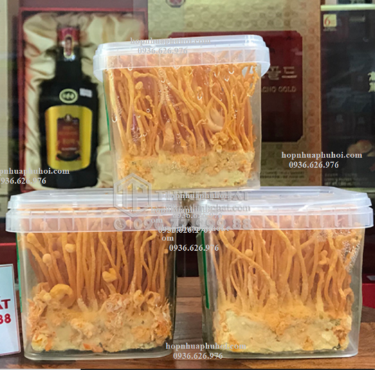 Hộp nhựa vuông đựng đông trùng hạ thảo - Giải pháp lý tưởng để bảo quản và nuôi cấy đông trùng