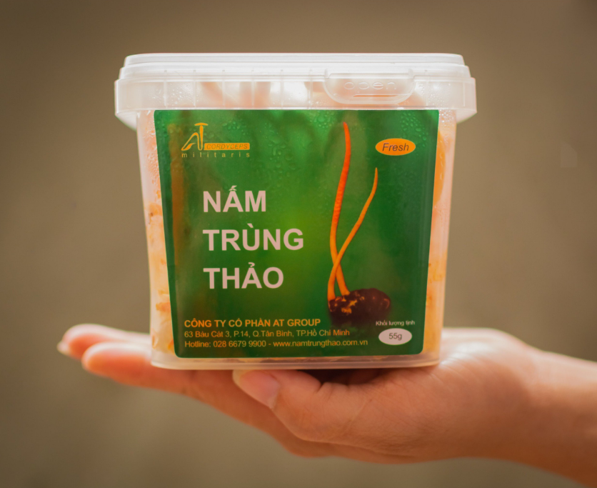 HỘP NHỰA VUÔNG ĐÔNG TRÙNG HẠ THẢO - SẢN PHẨM ĐANG BÁN CHẠY NHẤT THỊ TRƯỜNG