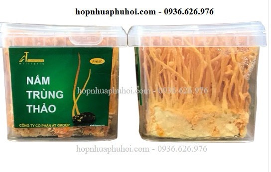 Hộp nhựa đựng đông trùng hạ thảo
